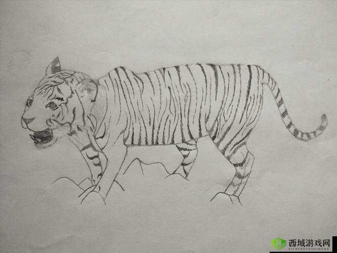 白虎污站相关内容：探索其独特魅力与背后的故事