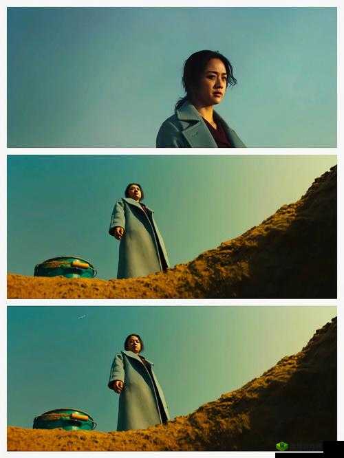 151 大但人文艺术欣赏电影解说:独特视角领略艺术之美