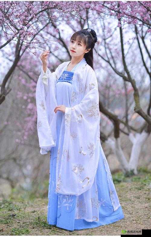 001 汉服齐胸襦裙啪啪含羞草：演绎古典之美