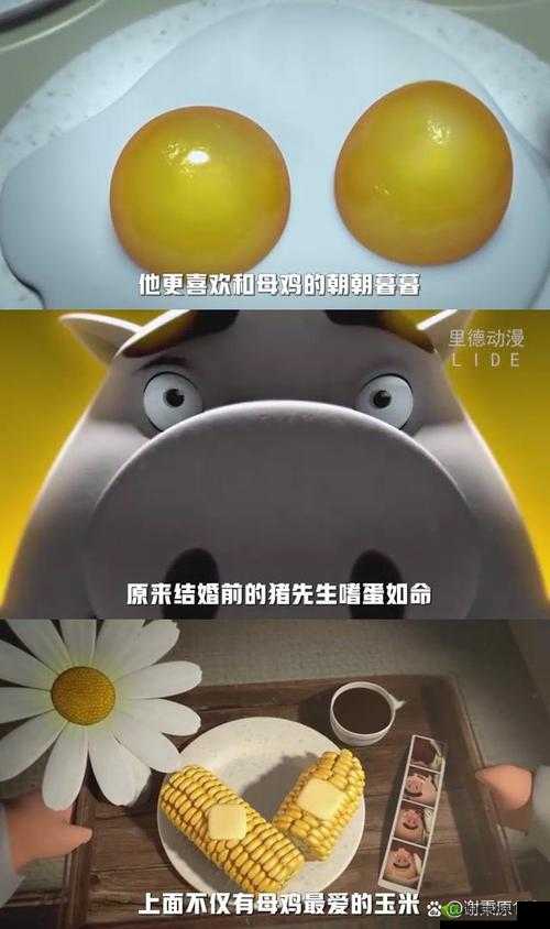 人与猪猪:一段跨越物种的奇妙情感与温馨故事