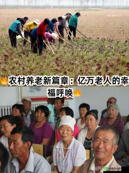 小树村人老人交易的好处:对社会稳定与发展的重要意义