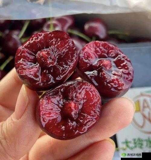 国产精品久久久久久久久免费樱桃——尽享优质内容之魅力