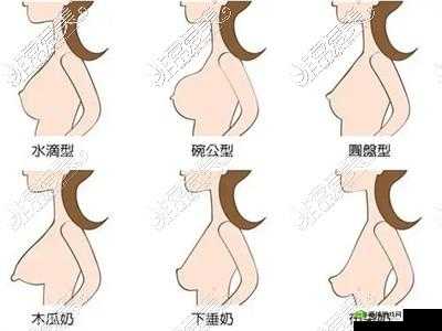 水滴形和圆形丰胸对比：哪种更适合你？