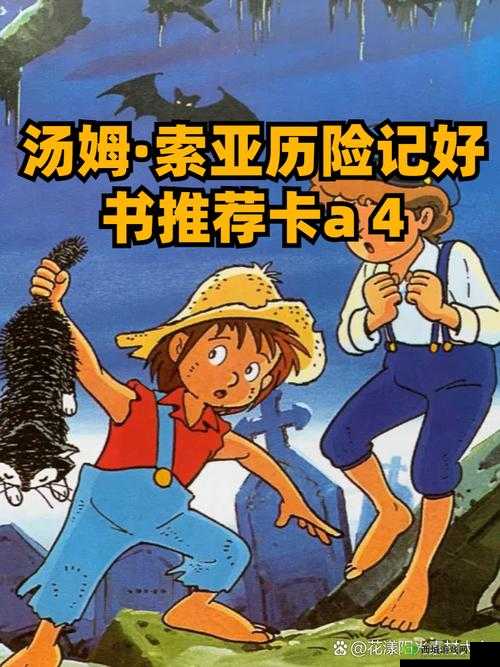 tom390 汤姆:探索无限可能的创新者