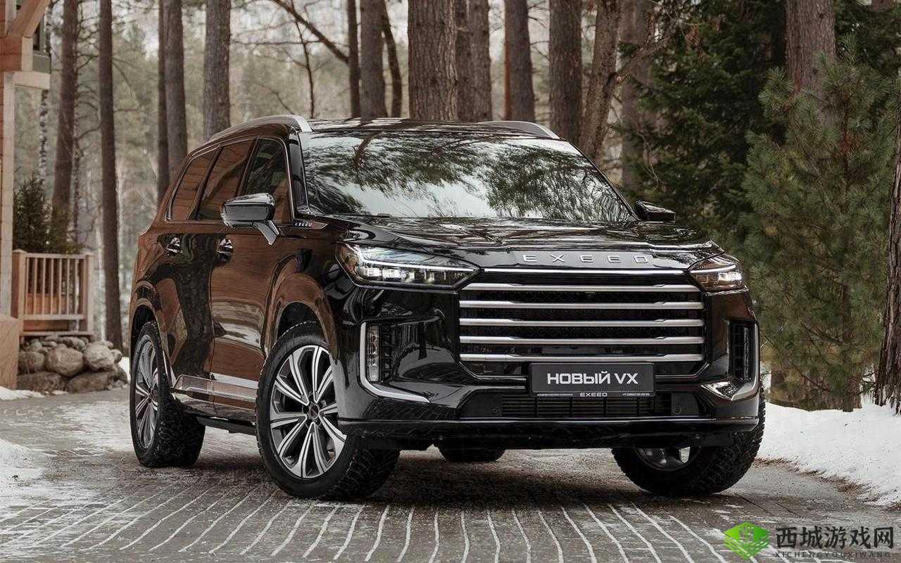 497799 欧洲版国产 SUV:高性价比性能逆袭的典范