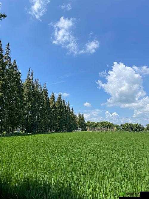 公交车上的诗意 10:感悟生活的点滴美好