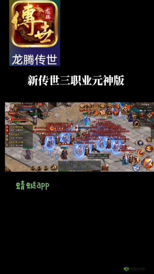 龙腾传世道士玩法深度剖析，元神选择的艺术