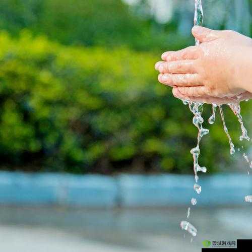 吕总喷泉洗手:一段引人关注的独特行为引众人热议