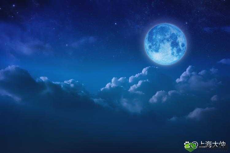 高清有码黄在看:打造视觉盛宴,满足你的无限遐想