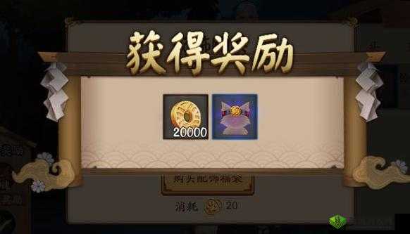 阴阳师手游购买福袋送配饰,宠物配饰使用说明在资源管理中的重要性及优化策略