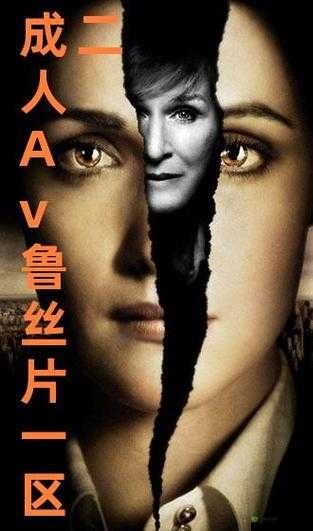 A∨鲁丝一区鲁丝二区鲁丝三区的独特魅力探索