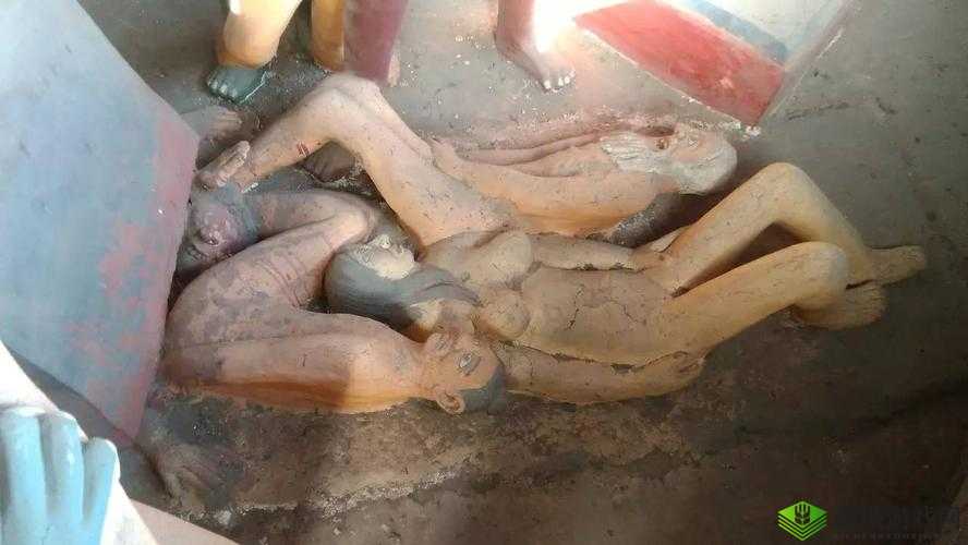 缅甸女子与 ZoZ 动交事件:揭示背后的真相与影响