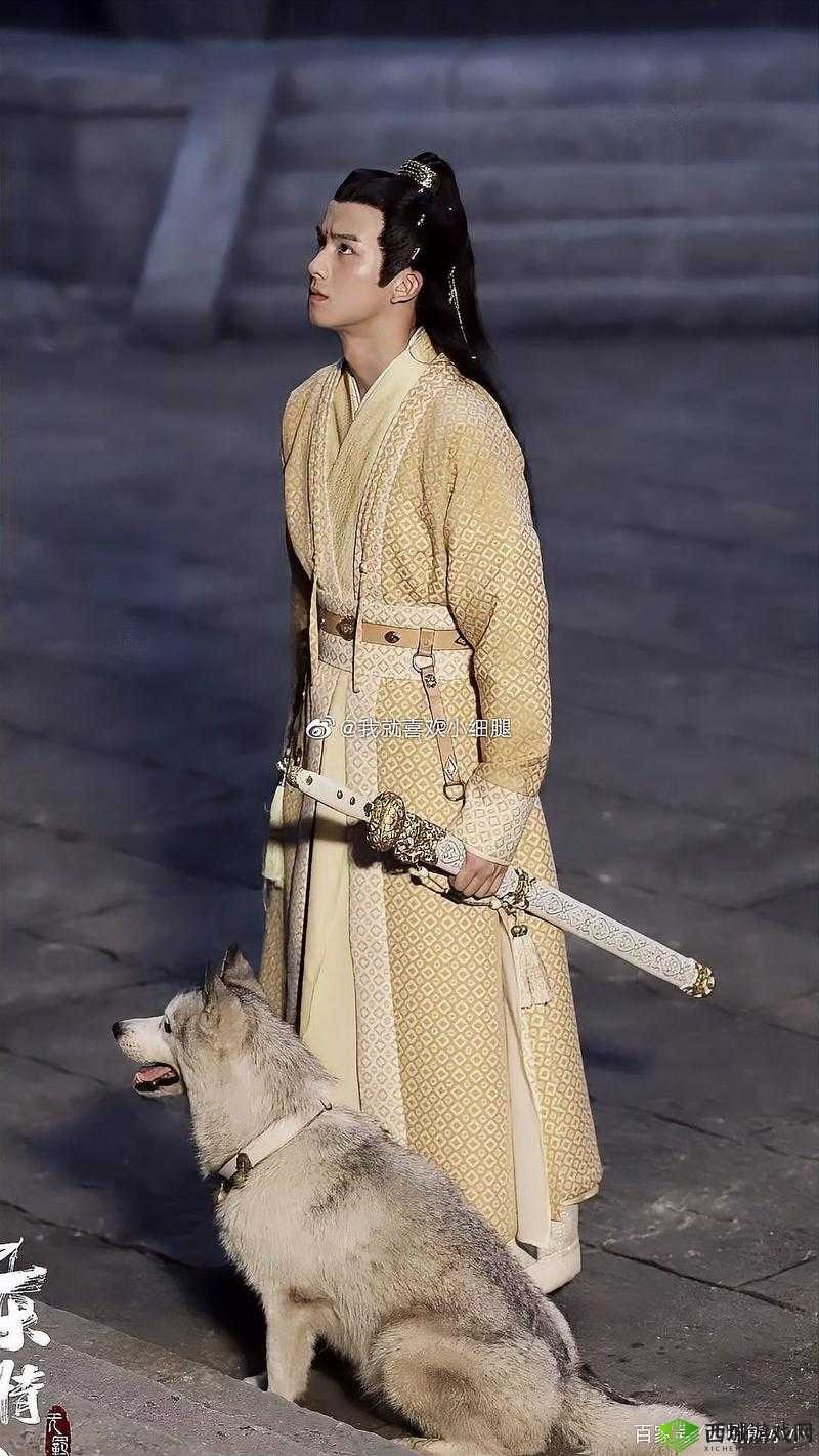 小小水蜜桃电视剧陈情令：带你走进唯美仙侠世界