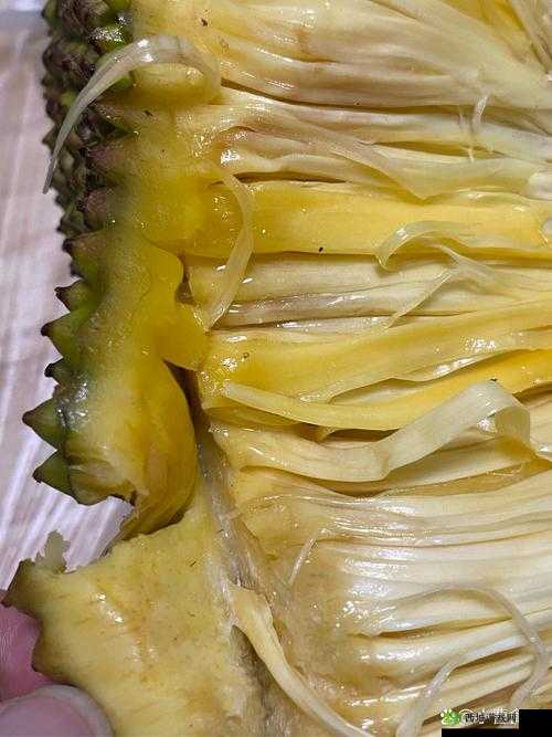 菠萝蜜视频在线观看国际:带你领略世界精彩