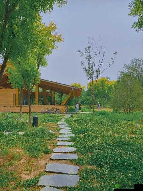 公园狂野之谜:无人的公园隐藏着怎样的秘密?