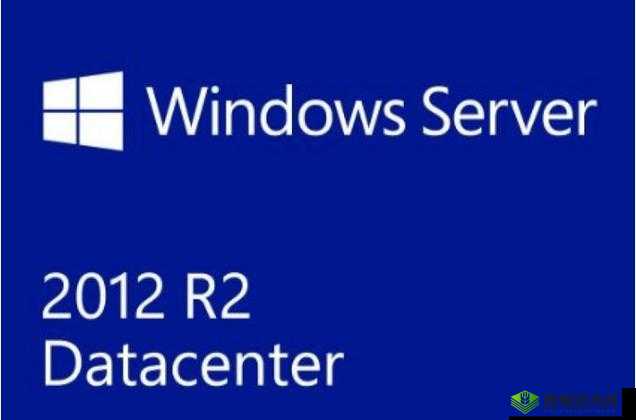 日本 Windows Server:提升企业效率的可靠选择