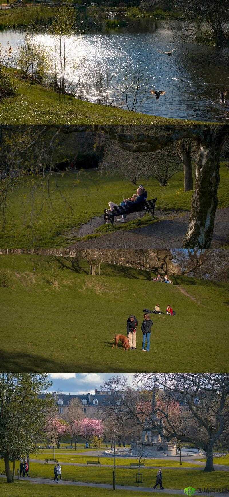 欧美真人性野外做爰:探索自然与激情的极致交融