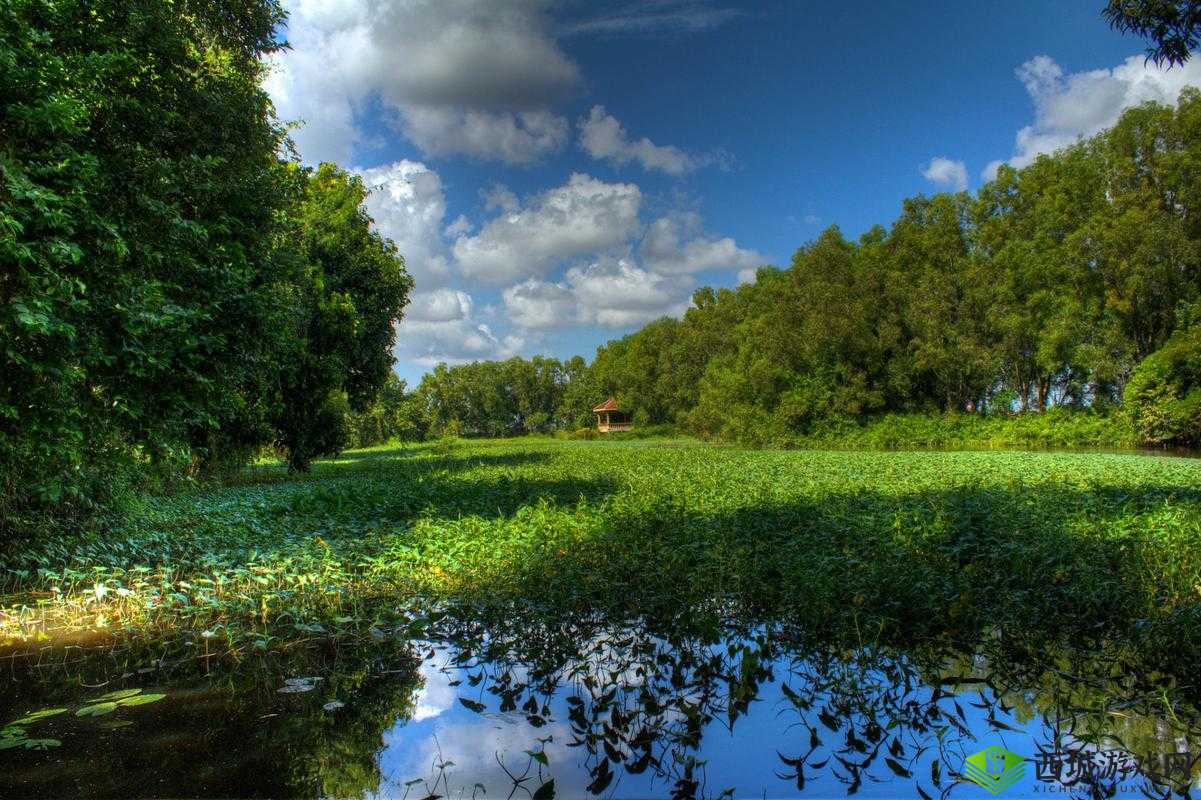 白虎喷潮:自然界的神奇景观及其背后的奥秘探索