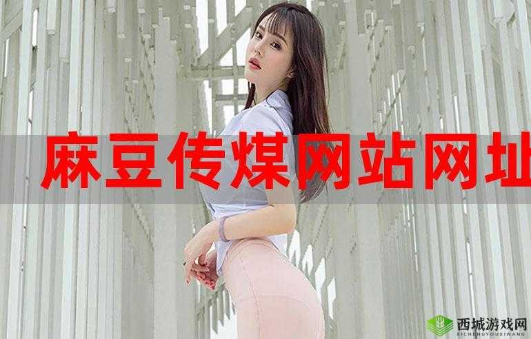 麻豆传播媒体网站:带来视觉盛宴的平台