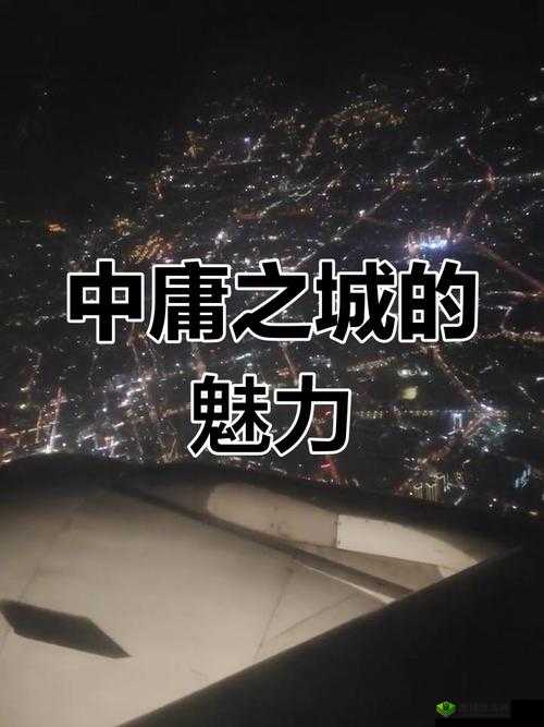 丰年经继拇:探讨传统与现代的奇妙交融