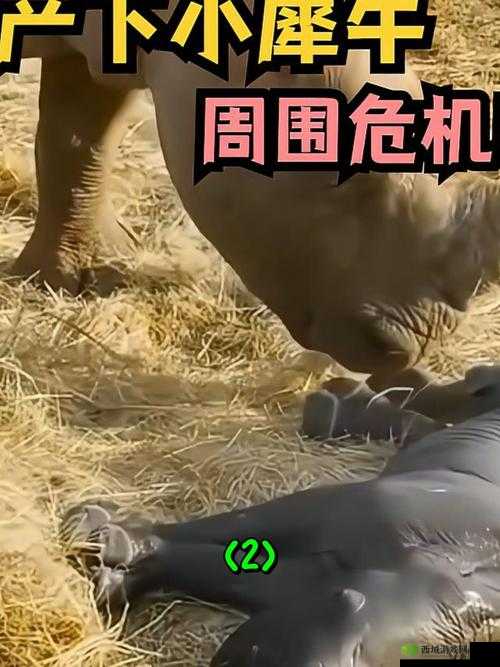 震惊野外,麻麻为何如此抗拒?