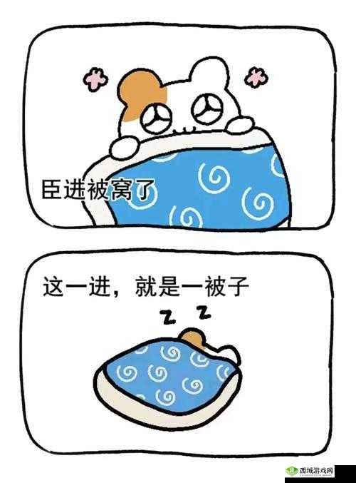 女生将 QQ 放在男生定眼处：这是一种什么样的行为？