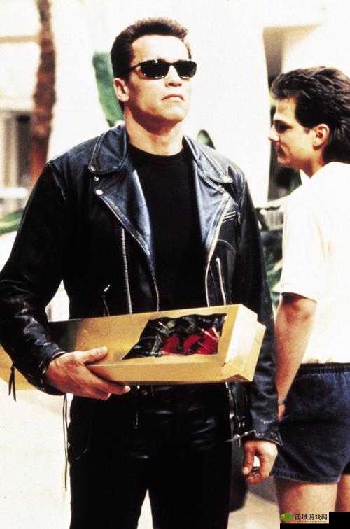 终结者2审判日巴雷特怎么样，使用技巧在资源管理中的重要性及策略