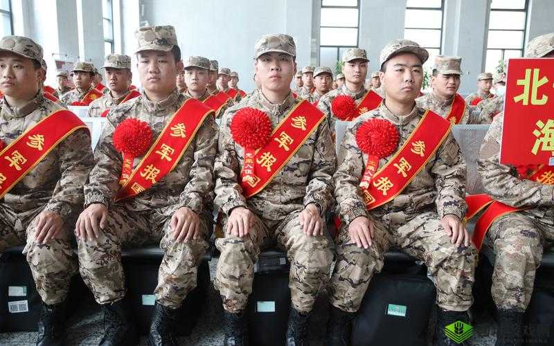 光荣使命演习新兵成长史,大吉大利晚上获胜在资源管理中的重要性及策略