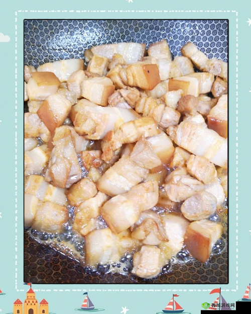 解锁红烧肉秘籍,三块猪五花的美味契约