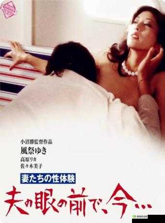 日本 69HD:成人电影界的经典之作