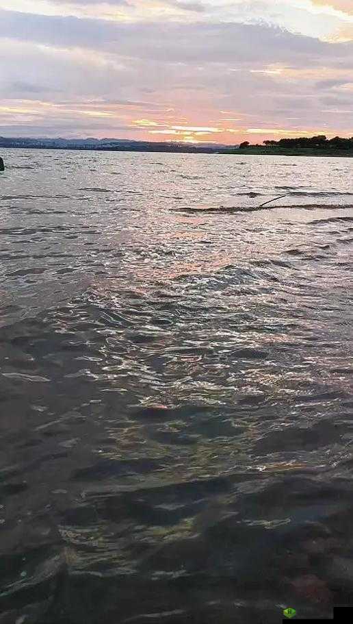 极致爽感:躁多水快且深点白洁的奇妙体验