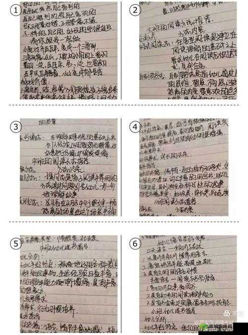 光荣使命快速提升排名心得，新手入门攻略