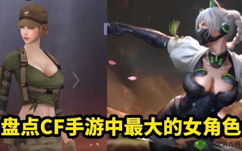 CF手游战略发布会12月21日发布大动作,资源管理视角下的深度剖析