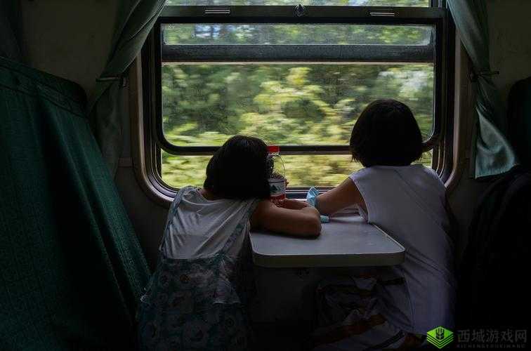 在火车和后妈妈谁在一起是什么书:一场独特的亲情探寻之旅