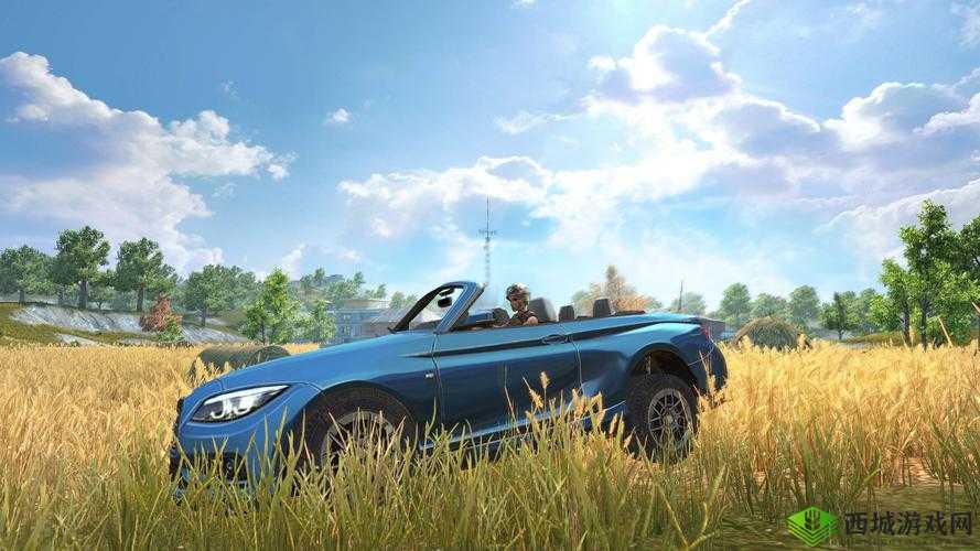 在终结者2,审判日这款游戏中,载具的选择对于玩家的生存和胜利至关重要。不同的载具拥有各自独特的性能和特点,适用于不同的战术和场景。以下是对游戏中各种载具的详细分析,帮助玩家更好地选择适合自己的载具。