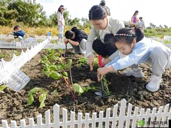 旅行者和丽莎拔萝卜视频:一场趣味十足的田园劳作之旅