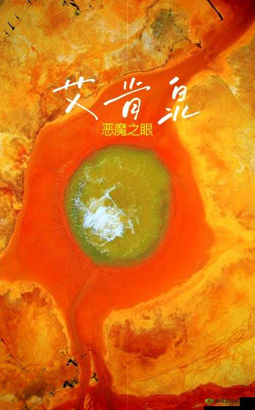 yw193 龙物:探索未知领域的神秘之旅