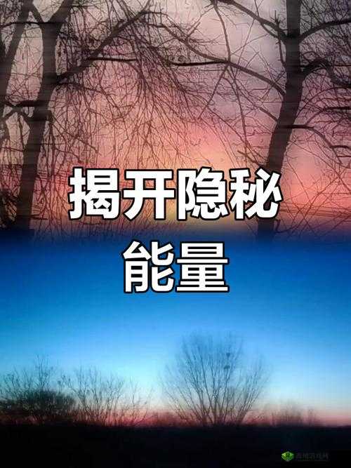 17c134 :探寻其背后的神秘力量与未知秘密