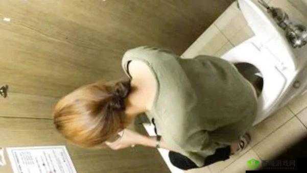 大神厕拍商:窥探隐秘角落的独特视角