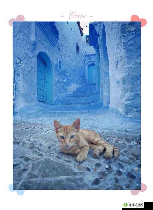 XXXXXL19 - 2021 :探索其背后的神秘魅力与价值