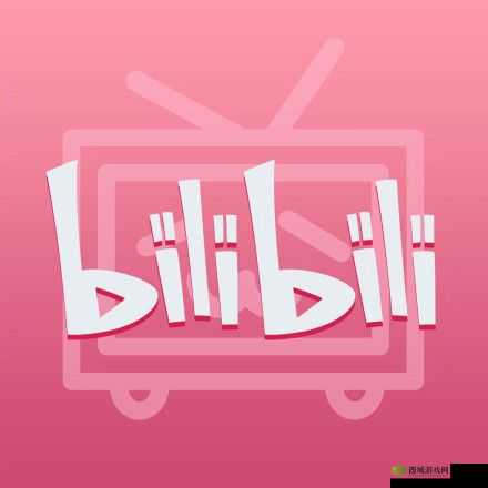 B 站哔哩哔哩:一个充满无限可能与精彩的视频平台
