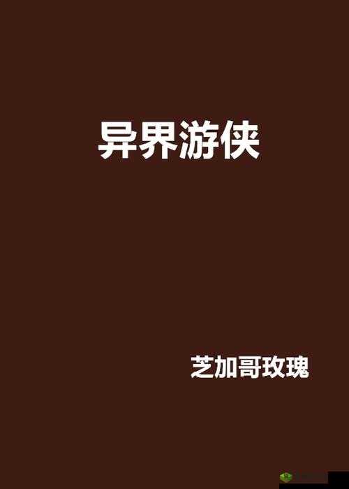 圣者之塔探秘,异界游侠灵魂收益大揭秘