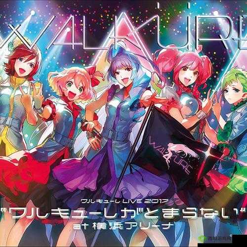 ワルキューレがとまらない:热血沸腾的激情之歌