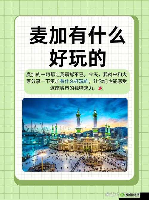 怡红宛一二三四五:探索其背后的神秘与魅力所在