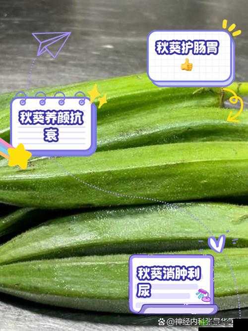 丝瓜与绿巨人蕾丝秋葵的神奇功效:滋养肌肤、促进消化、增强免疫力
