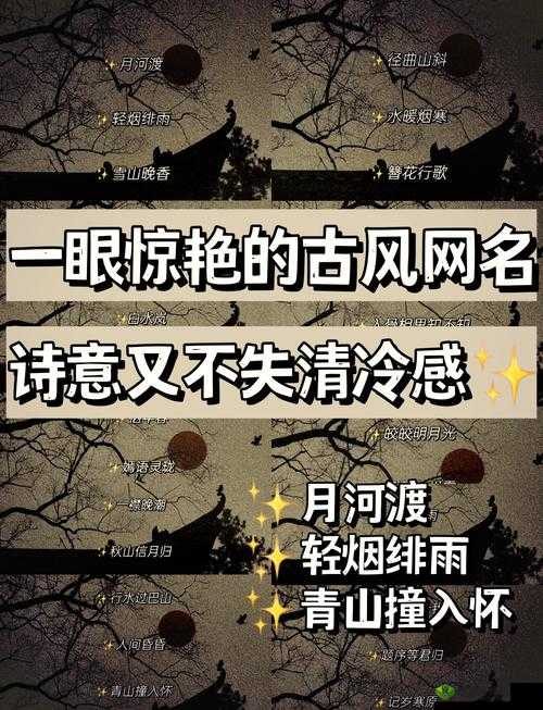 17c 最新网名:一个全新的网络世界等你来探索