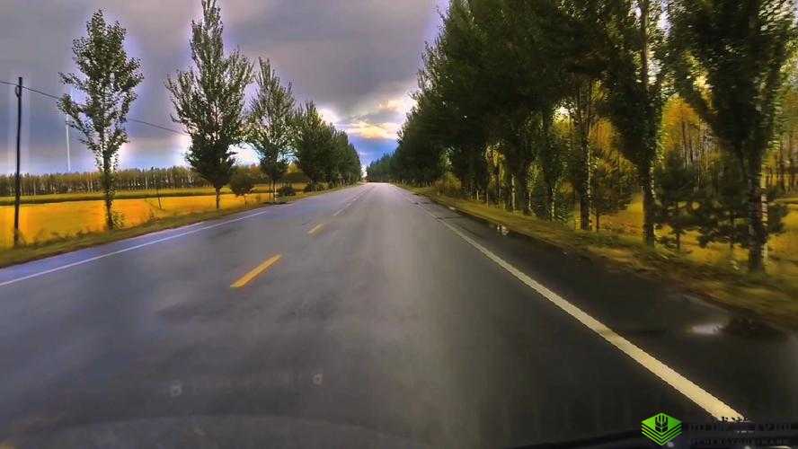 日本薍伦×××50 路:探寻独特的城市风景线