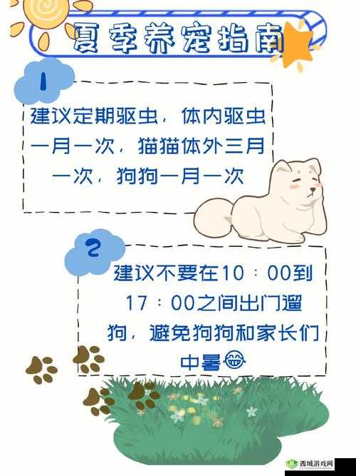 关于狗狗卡在体内多久能拉出来的建议与注意事项