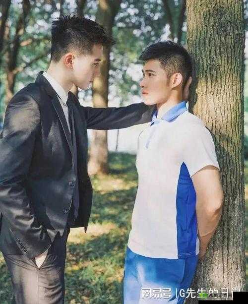 BLUED 片免费观看视频:揭秘同志群体的情感世界