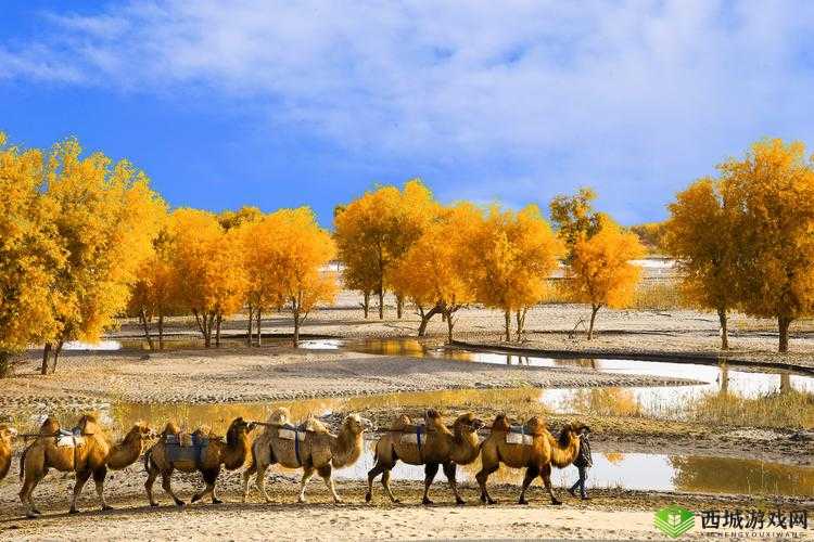 中国新疆:探索神秘地域的 XXXXXL19Dfm 之谜